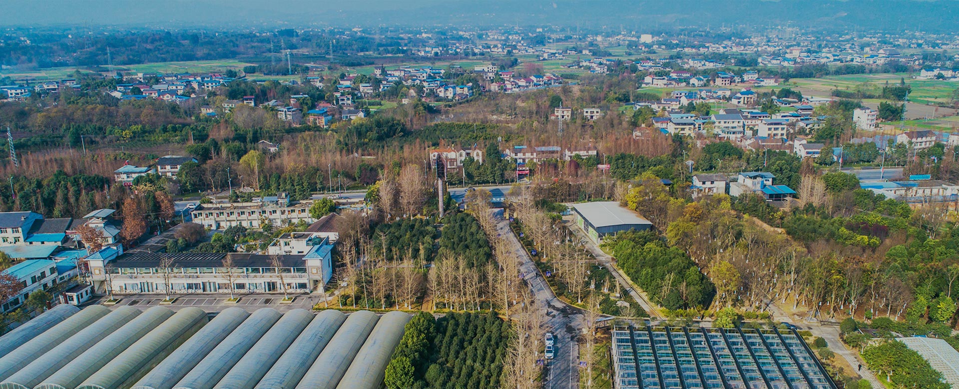 蔬菜品種育苗、示范推廣、基地種植、農(nóng)產(chǎn)品生產(chǎn)、加工 、銷(xiāo)售
